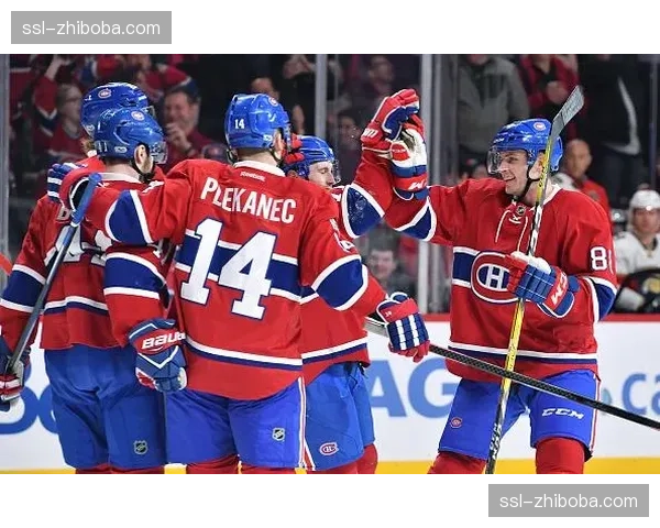 NHL“遗产经典”户外赛在雨中举行，纳什维尔掠夺者加时战胜达拉斯星